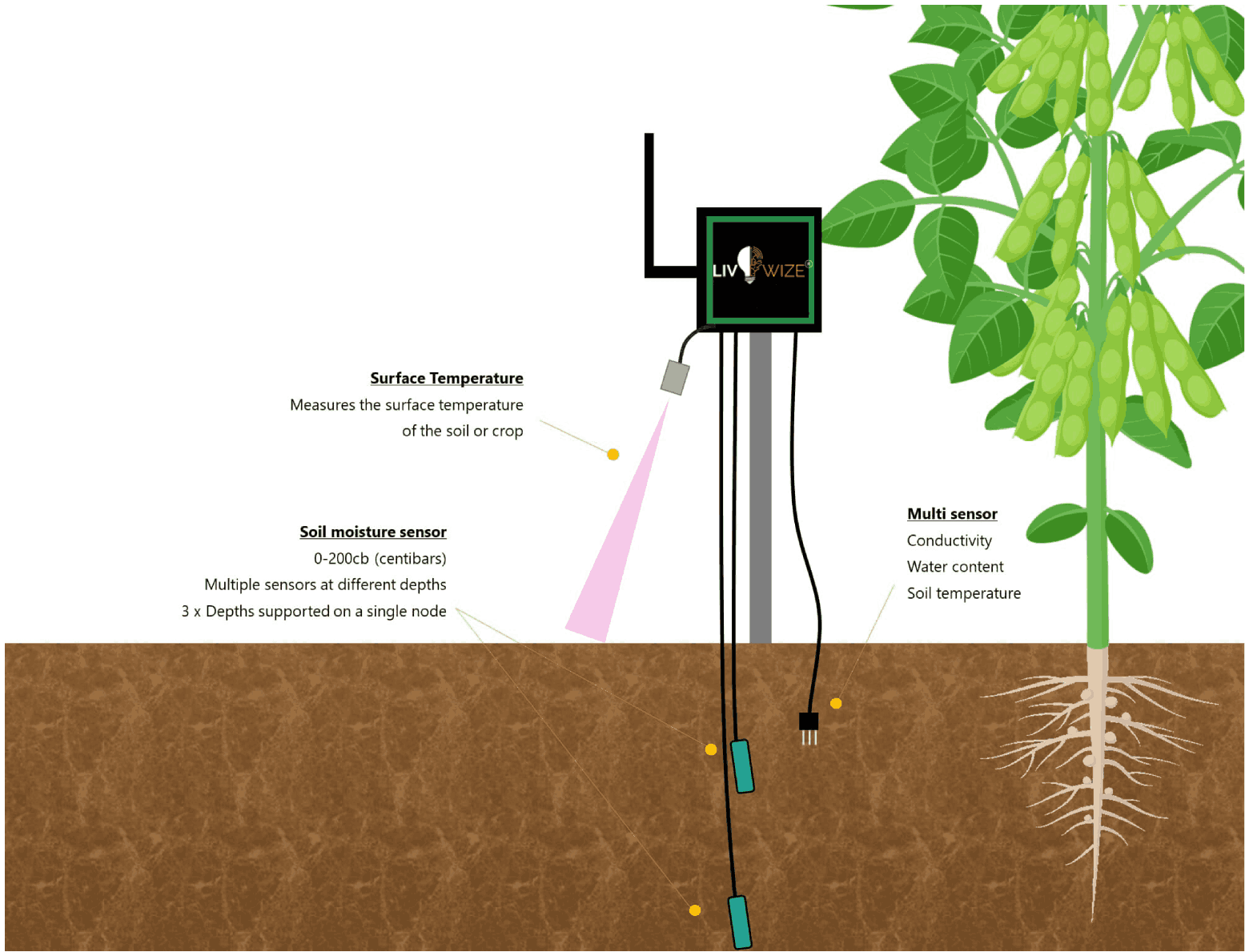 Field-ready architecture for Smart Agriculture Monitoring System